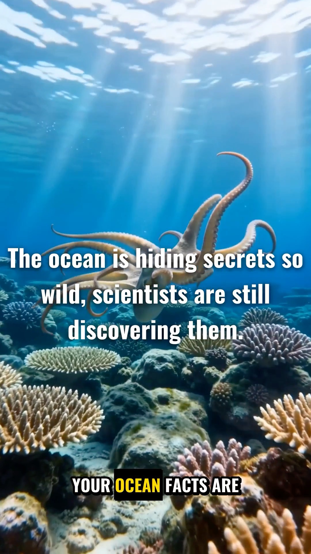5 facts about the ocean that sound fake but are true