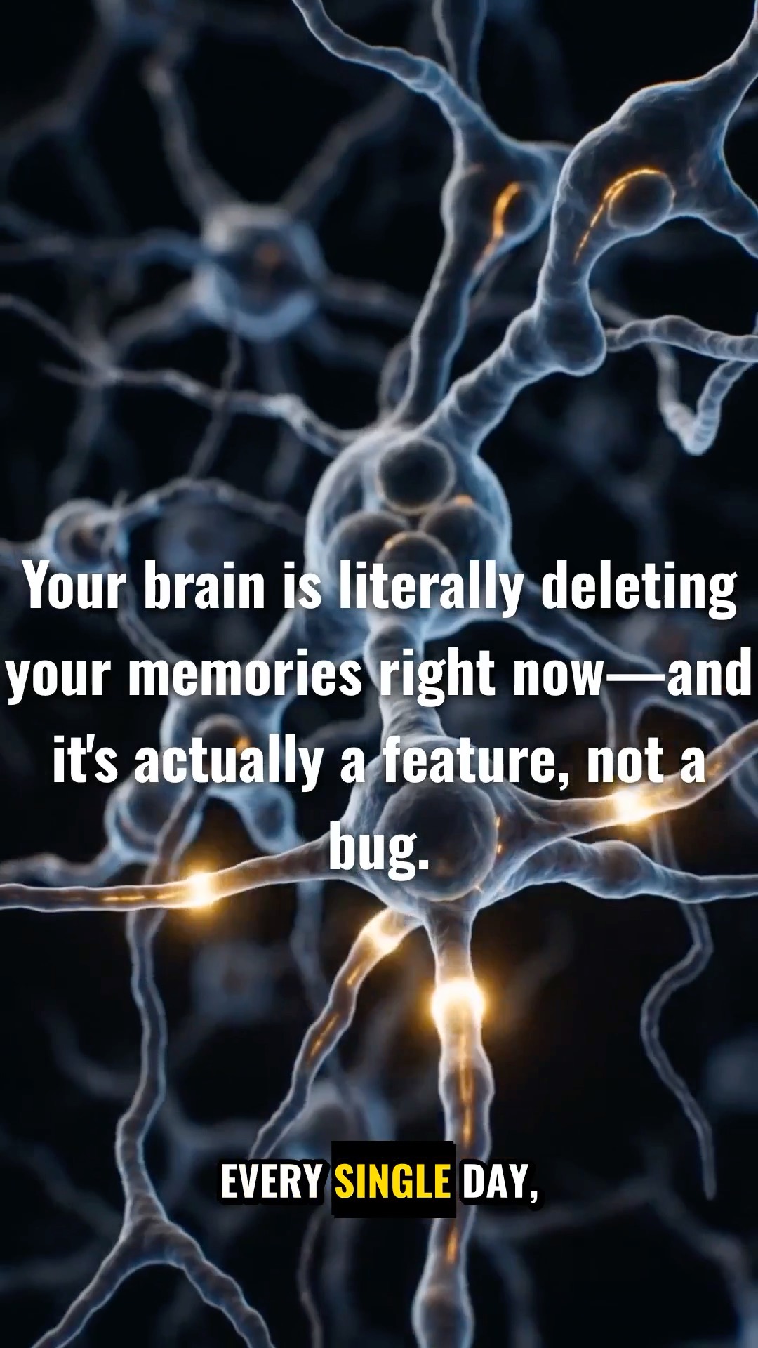How your brain decides what to forget